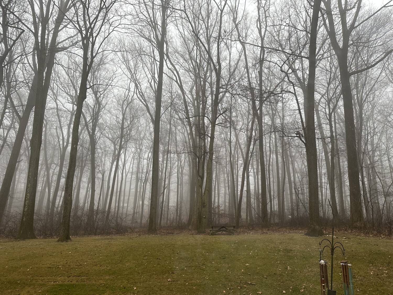 A Foggy Day