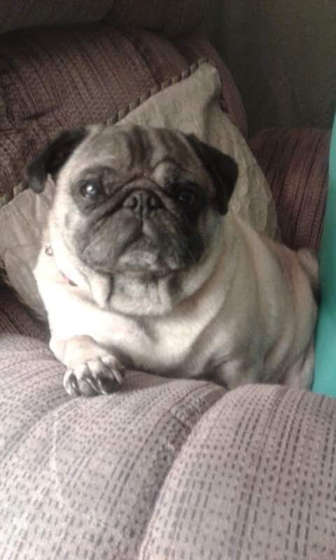 Jesse James Jeffries