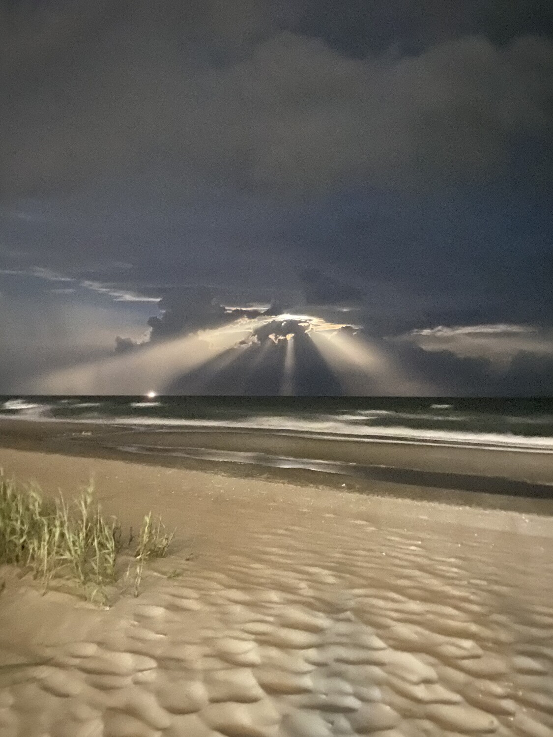 Cherry Grove Moonrise