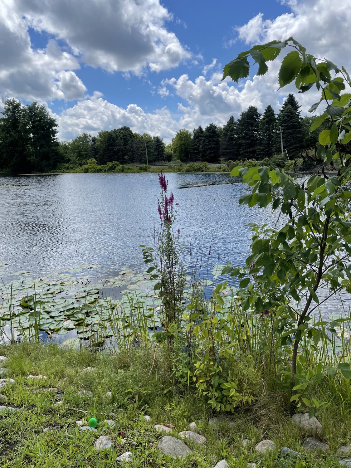 Milford Pond, Michigan