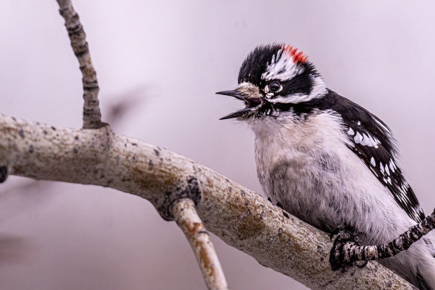 Singing loud and proud!!