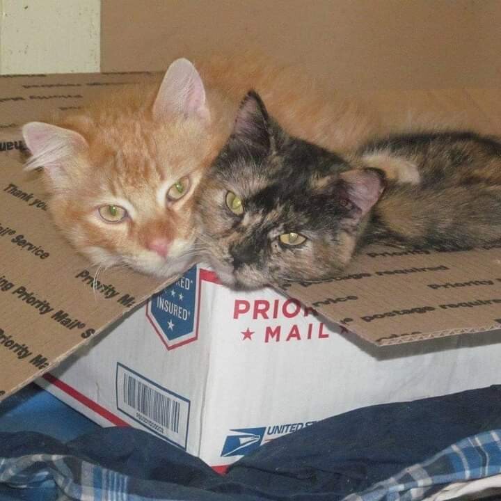 If it fits..it ships