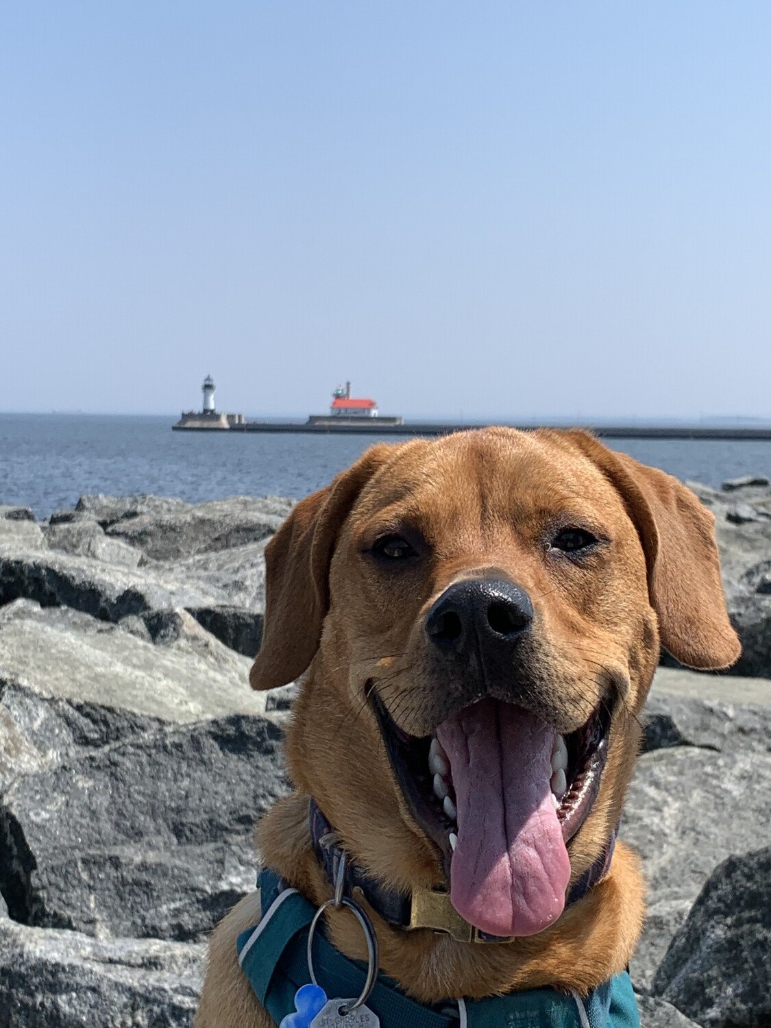 Cooper at Duluth, MN Lake Walk