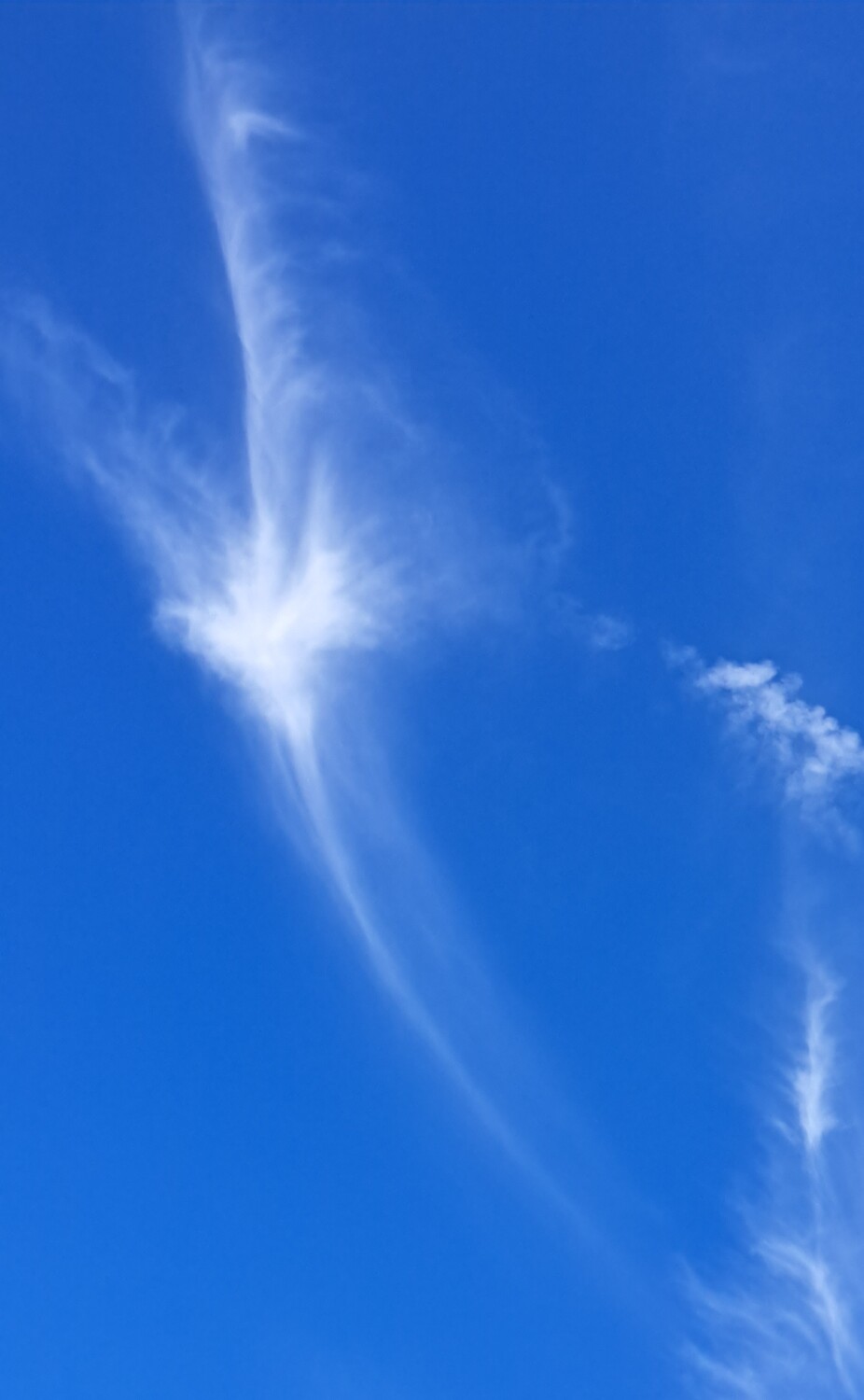 Angel Cloud