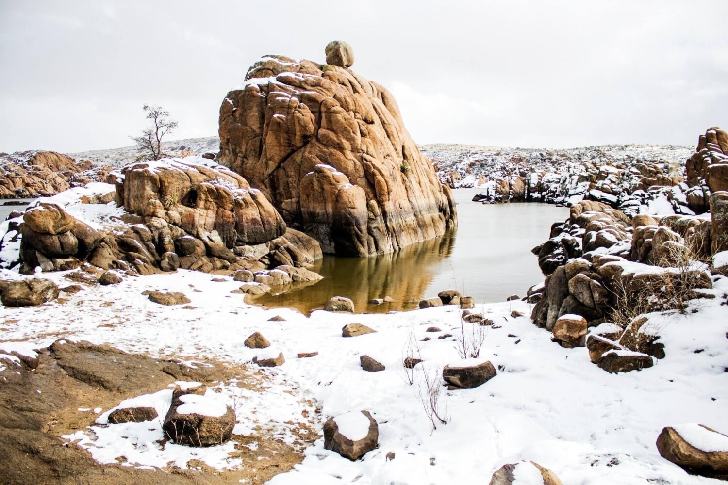 High Desert Snow
