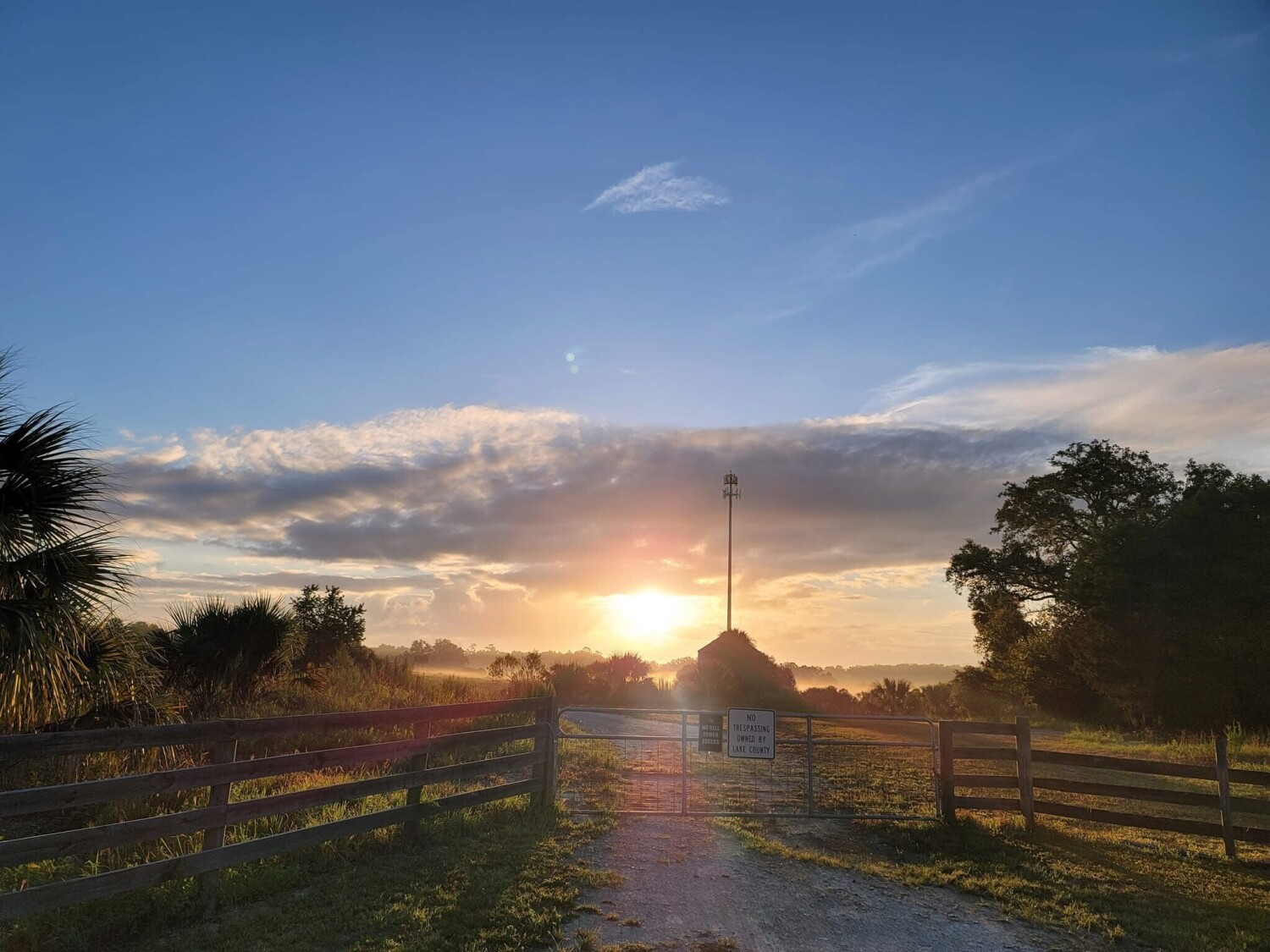 The beauty within the morning