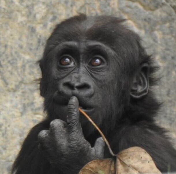 What Should I Do today?