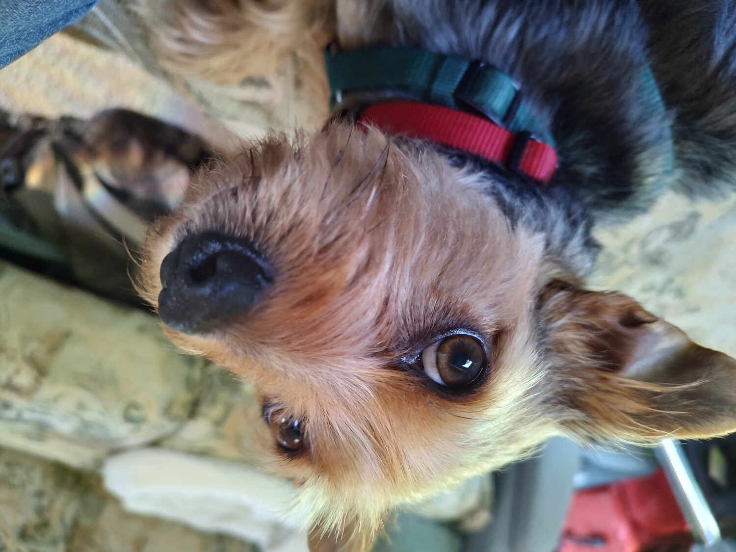 Here's looking at you