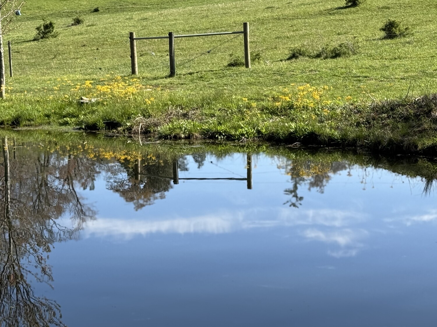 Serine Reflections