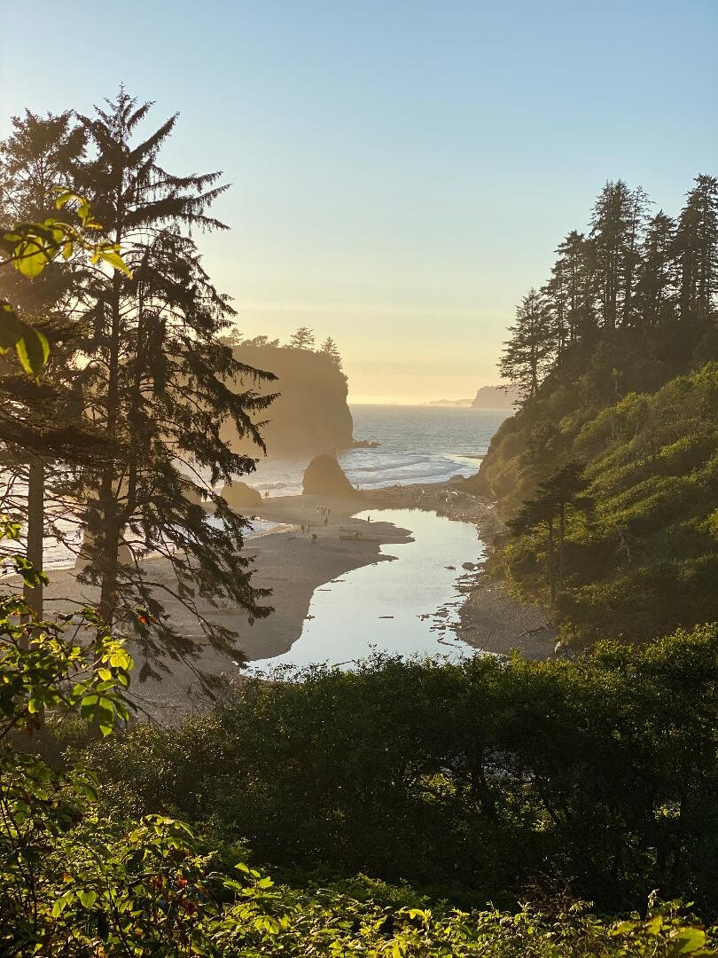 Godzilla at RUBY's Beach.