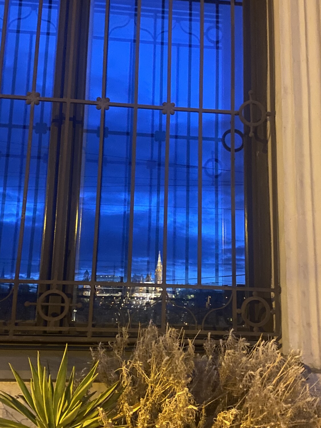 Reflection with love