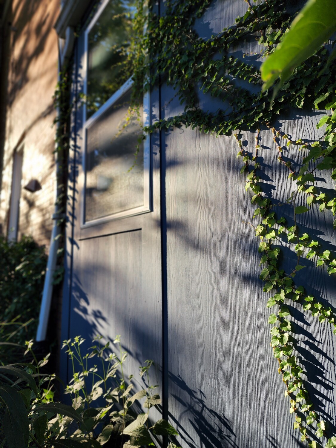 Urban Vines