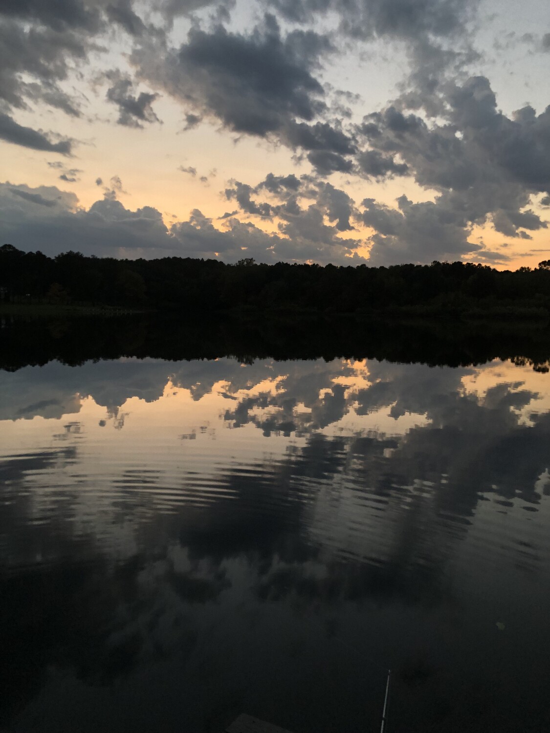 Reflections at Sunset!