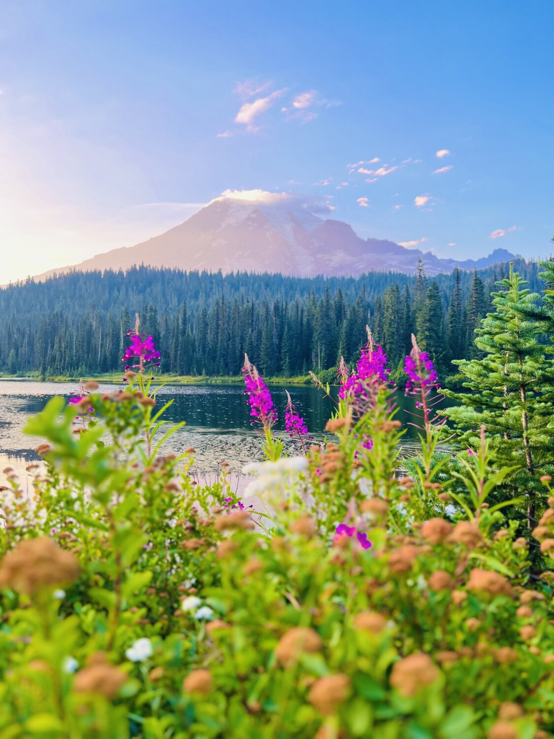 Mt Rainier Reflection lake