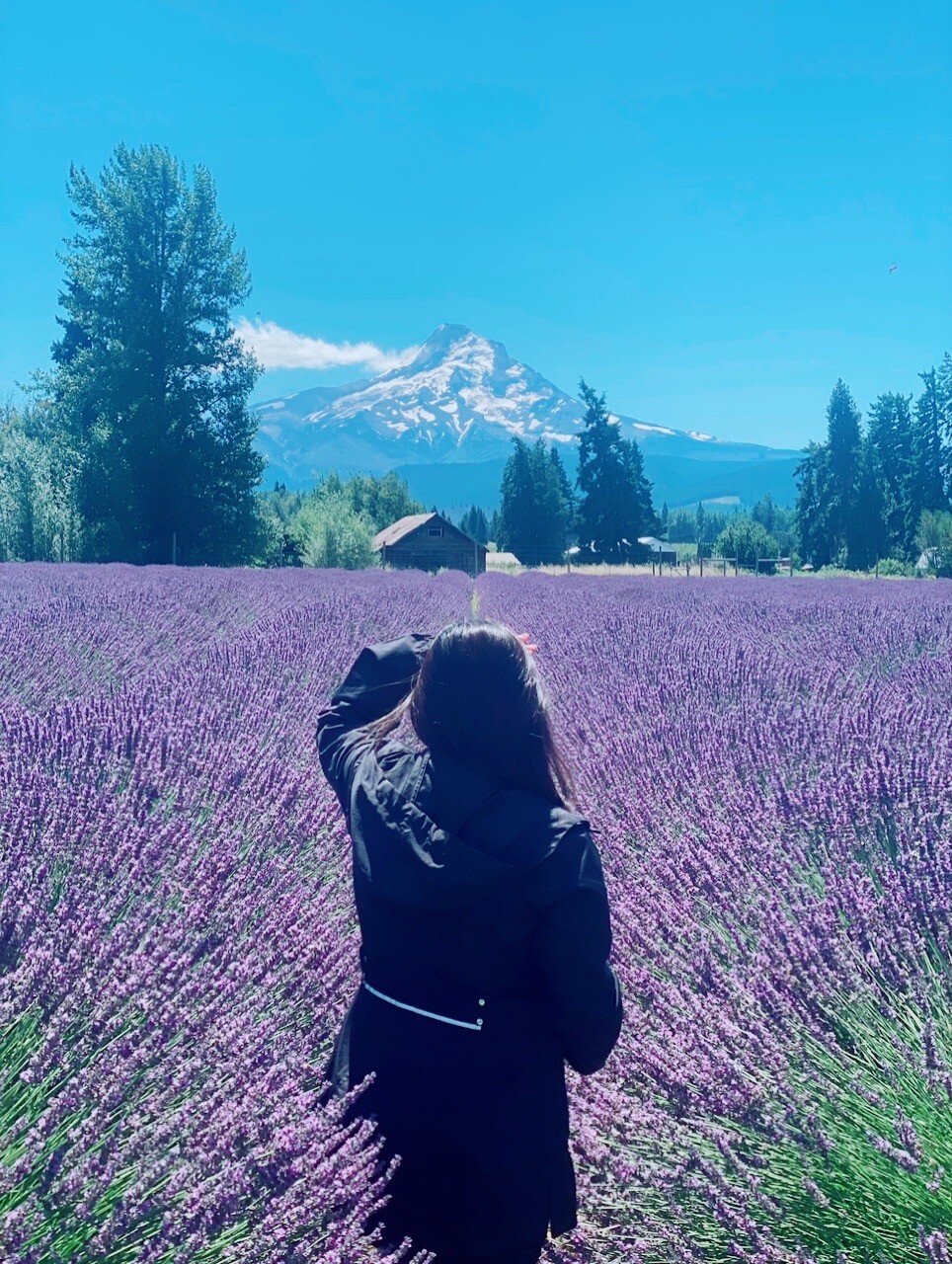 A Time for Everything