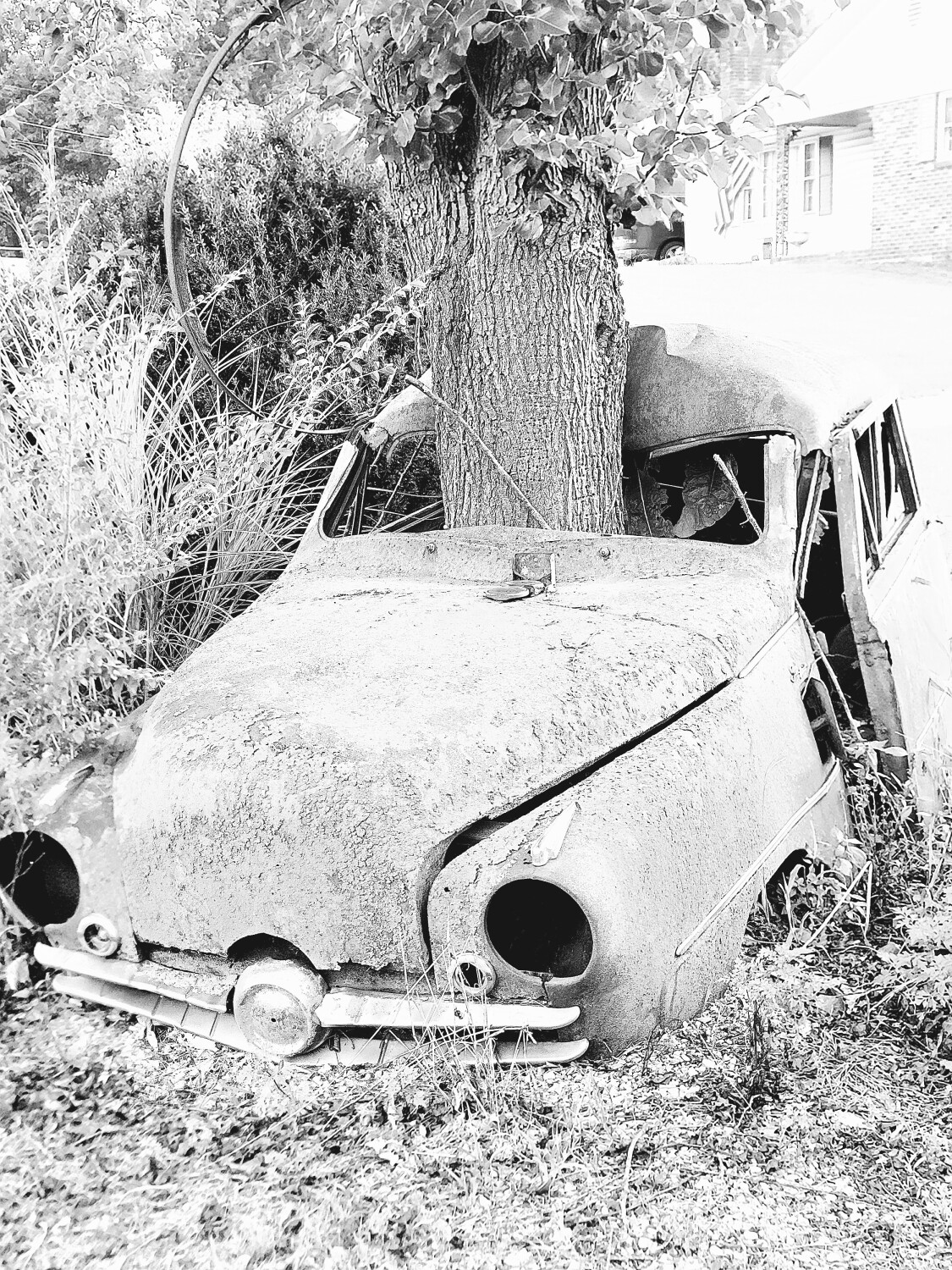 Tree/Car