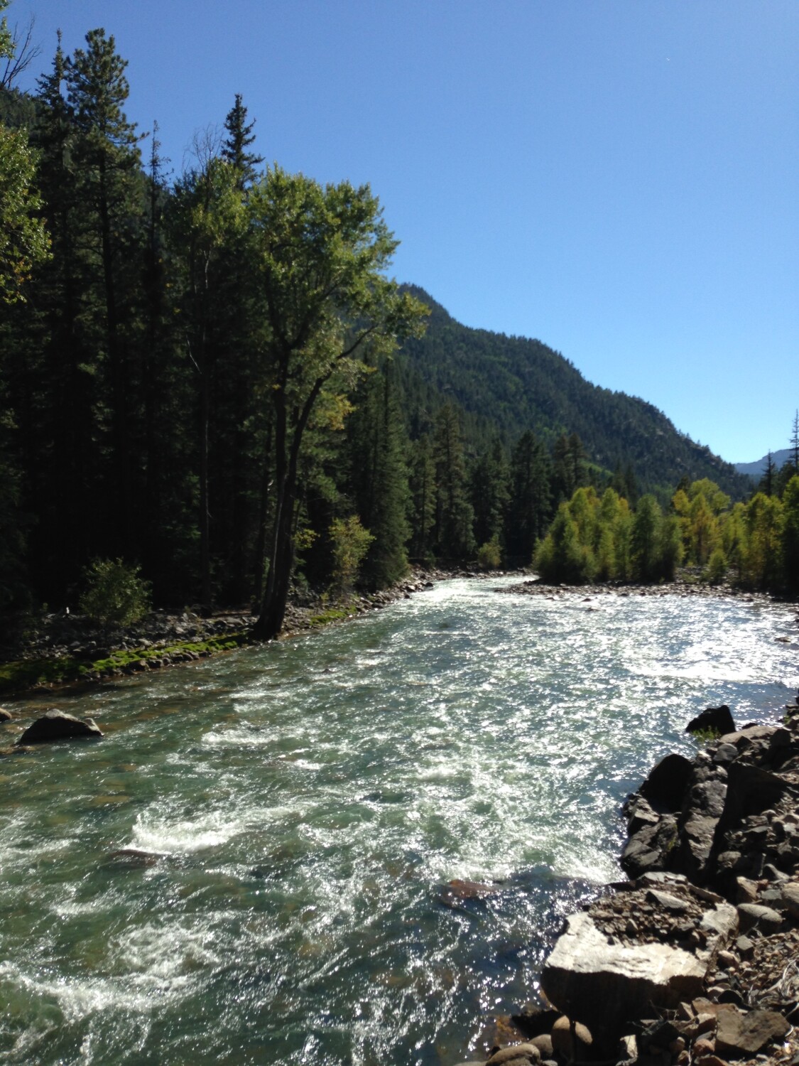View from a train ride