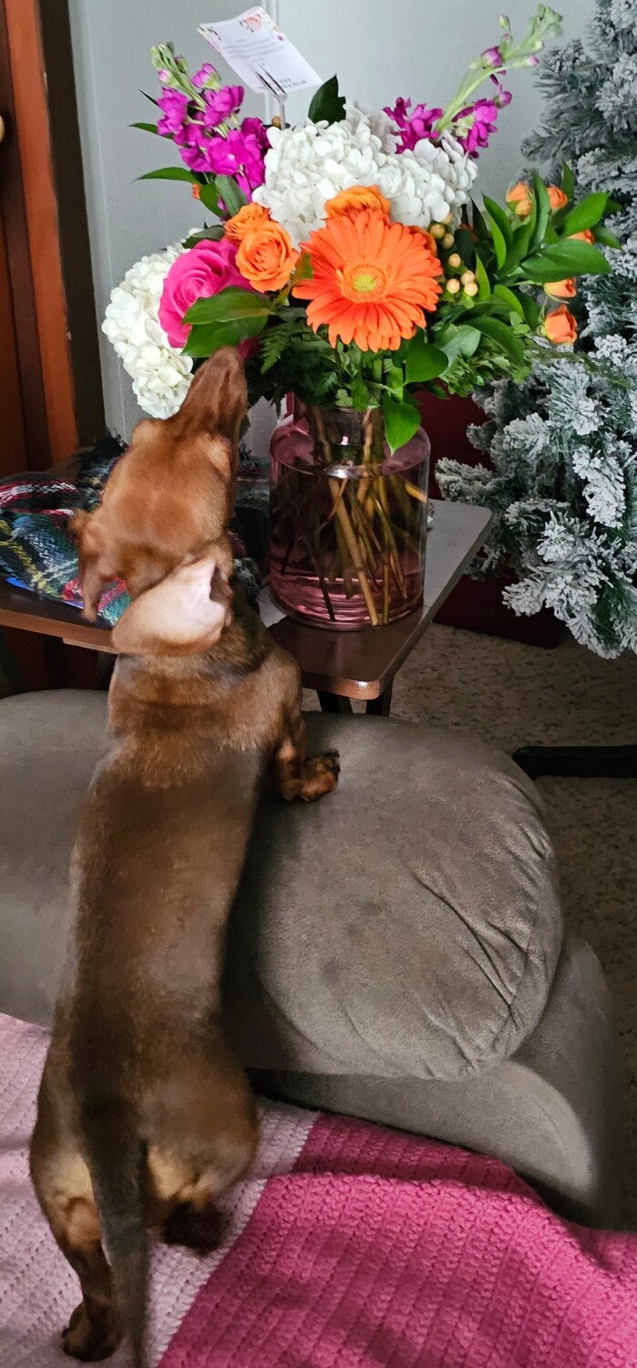 Feelin these Flowers