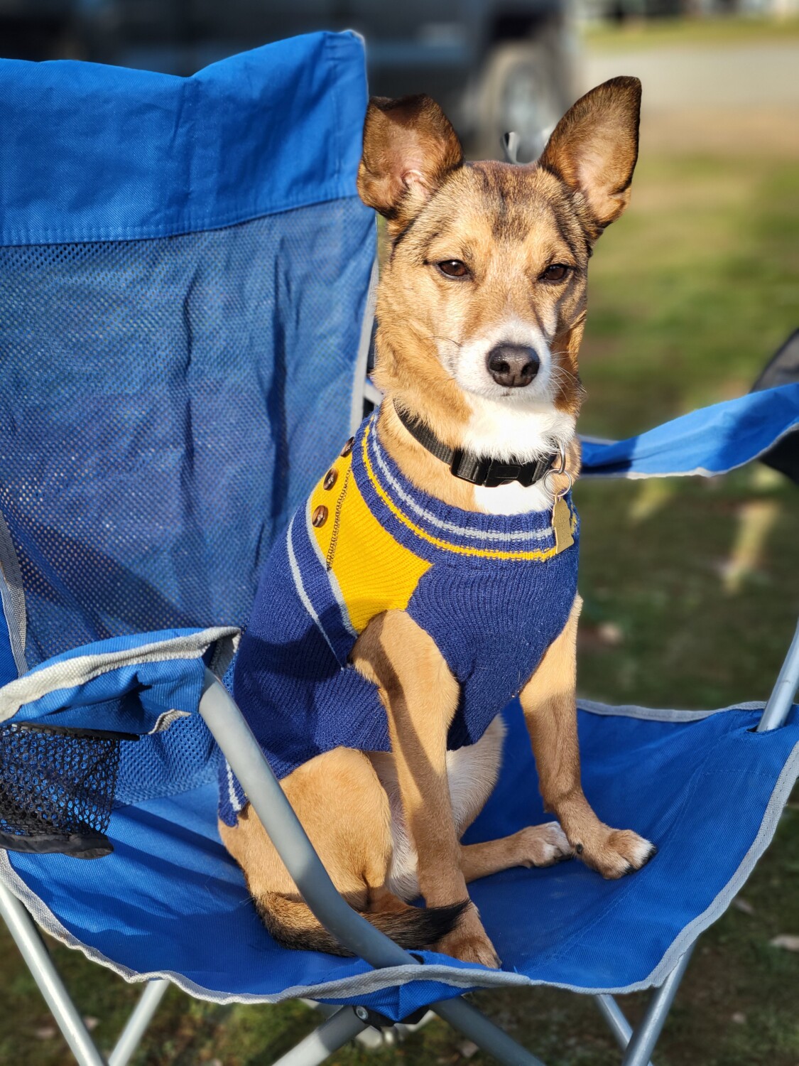 Zero  In deep thought