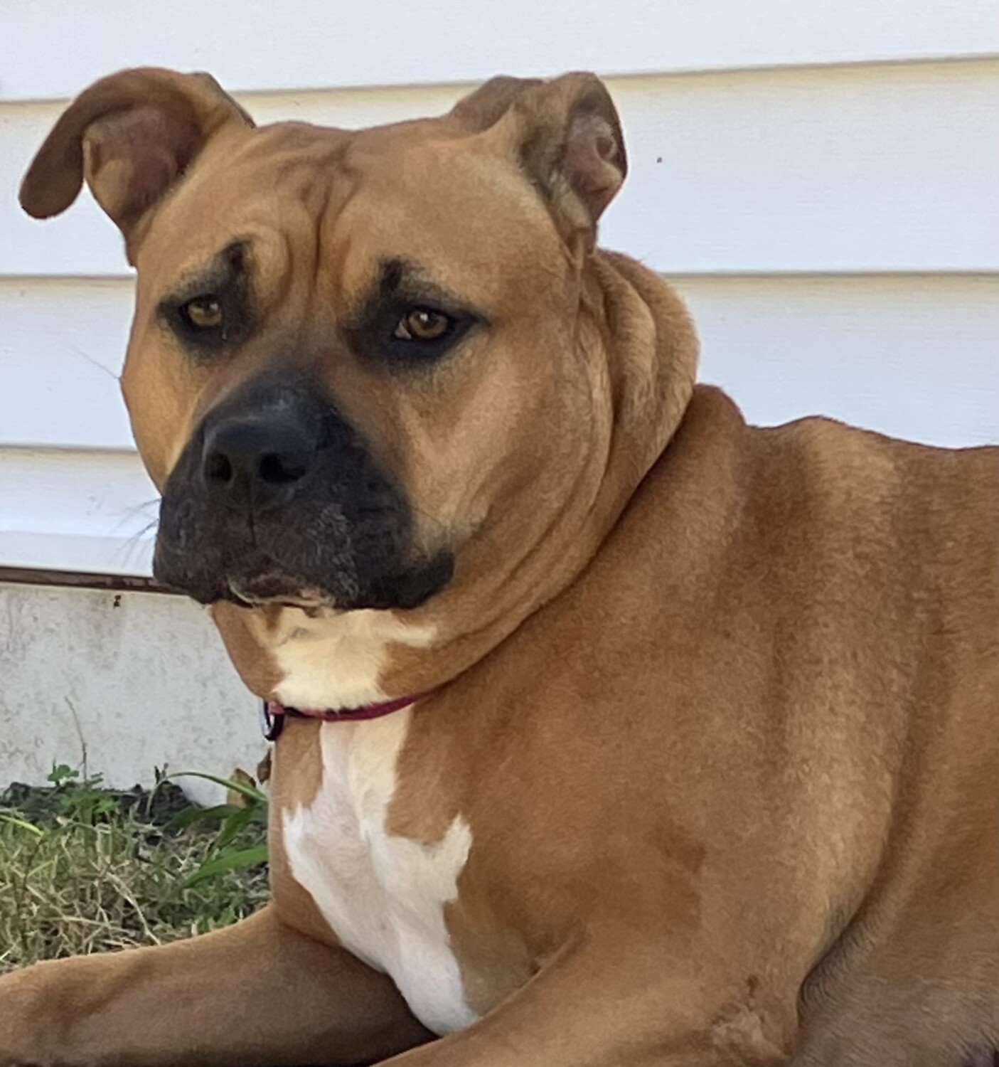 Lady Jay keeping an eye on things