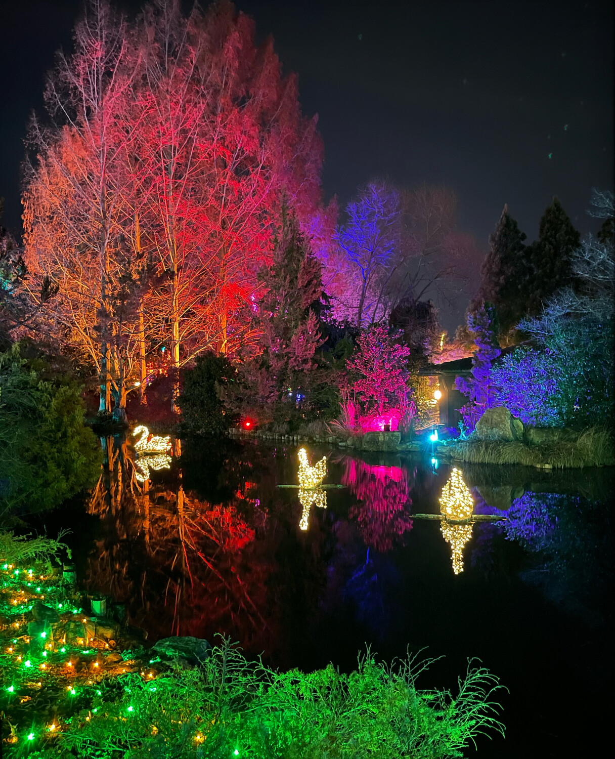 Christmas at the Lewis Ginter Botanical Gardens