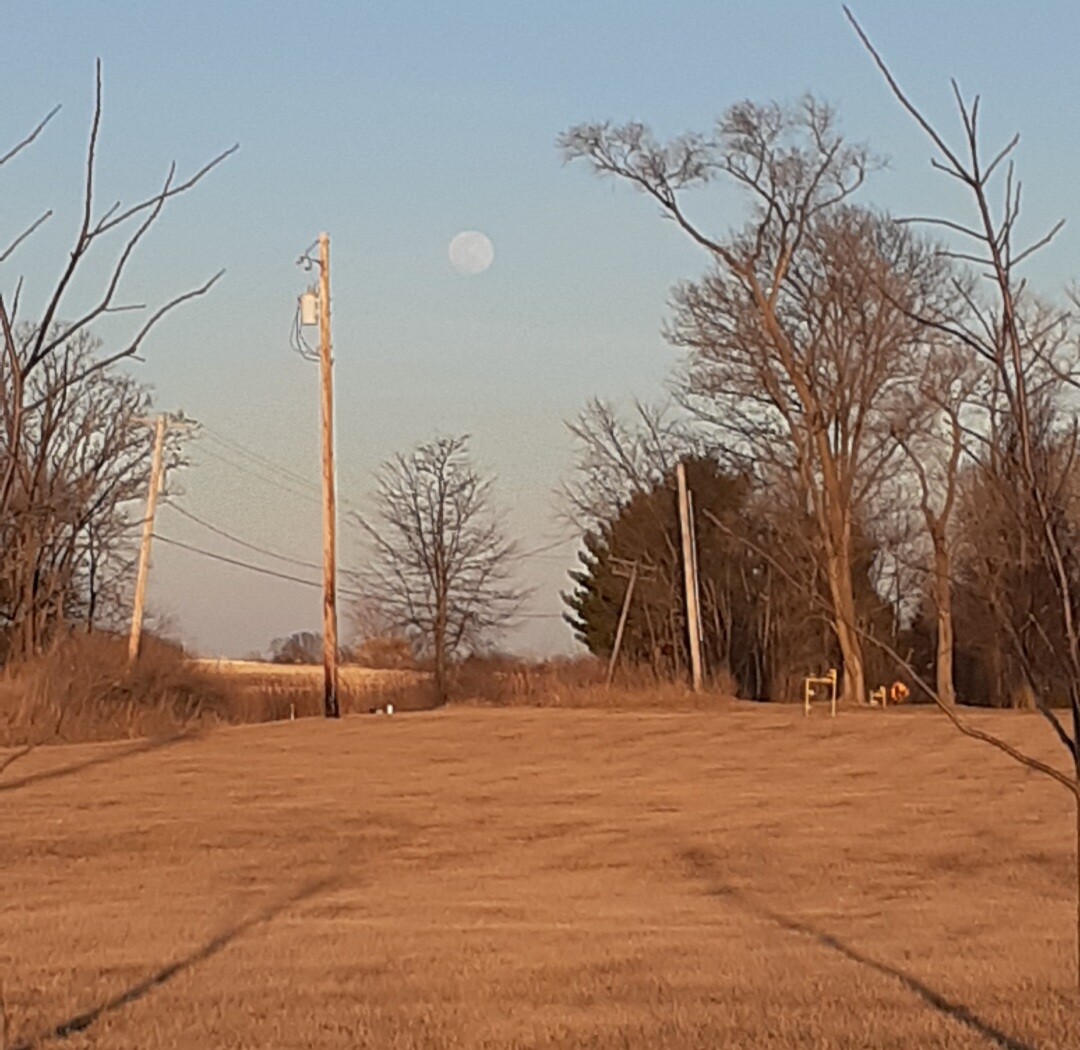 "Luna the Beautiful"