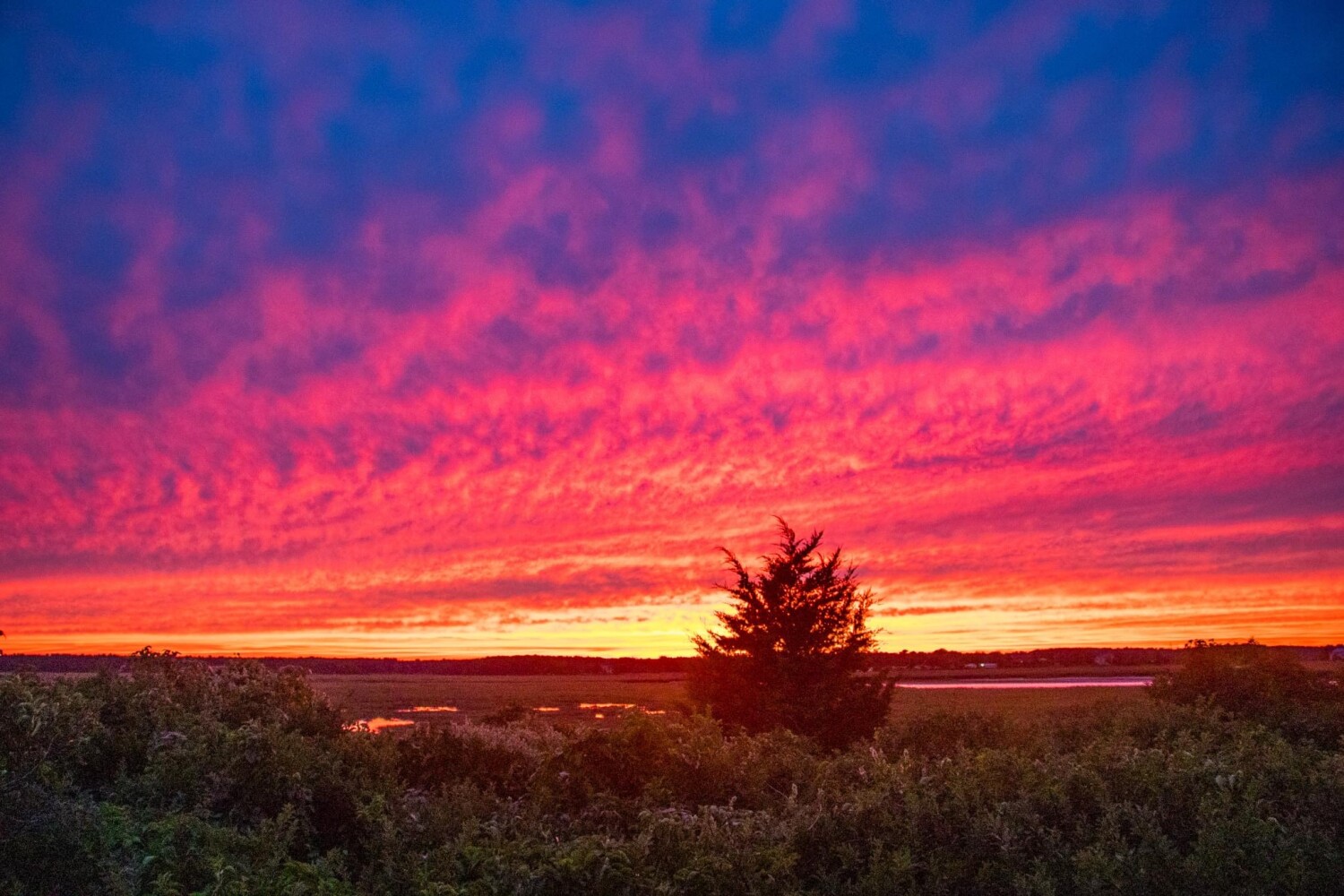 Plum Island sunset
