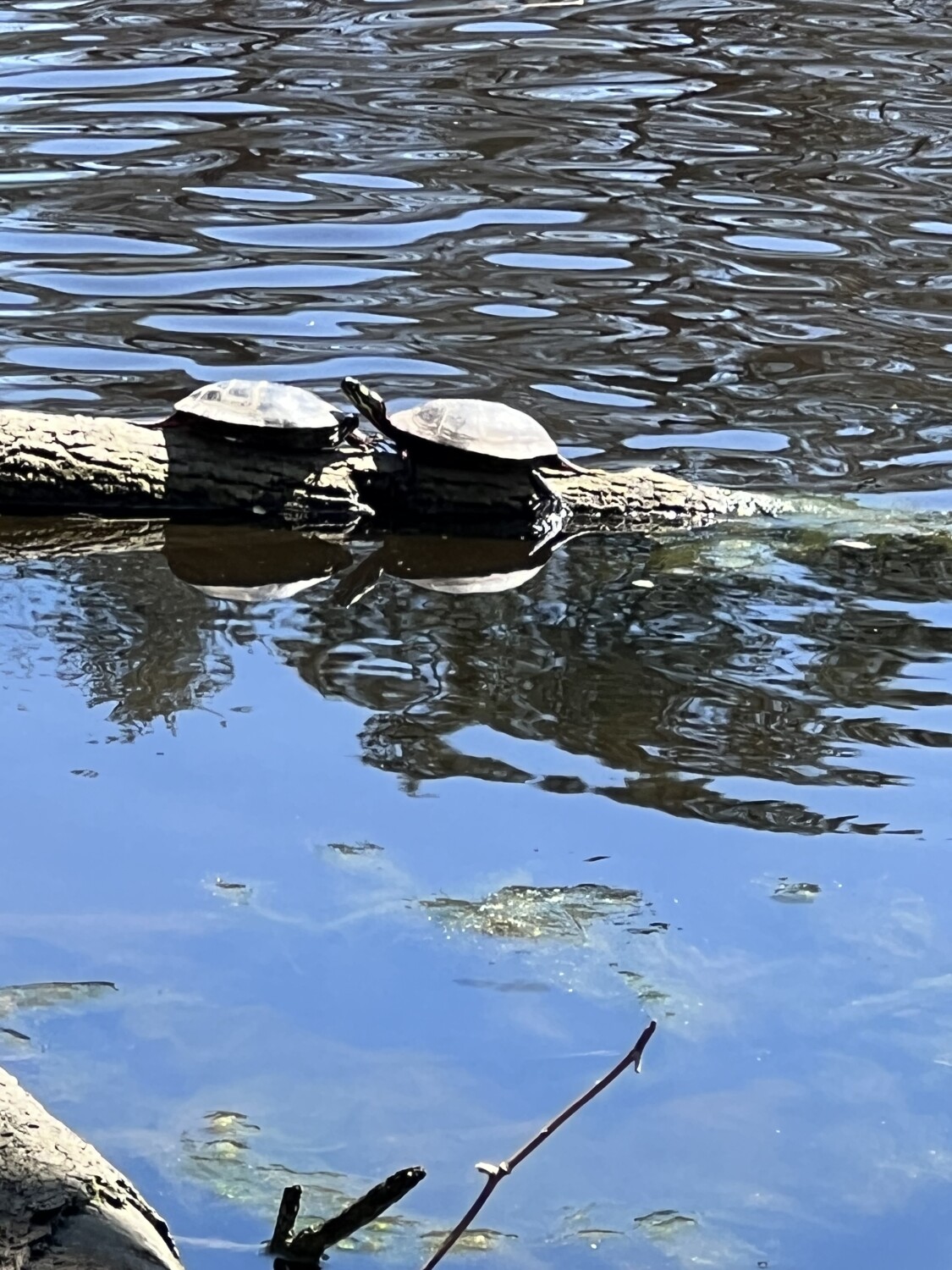 The beauty of nature.