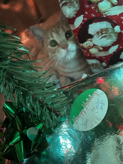 My frist Christmas picture