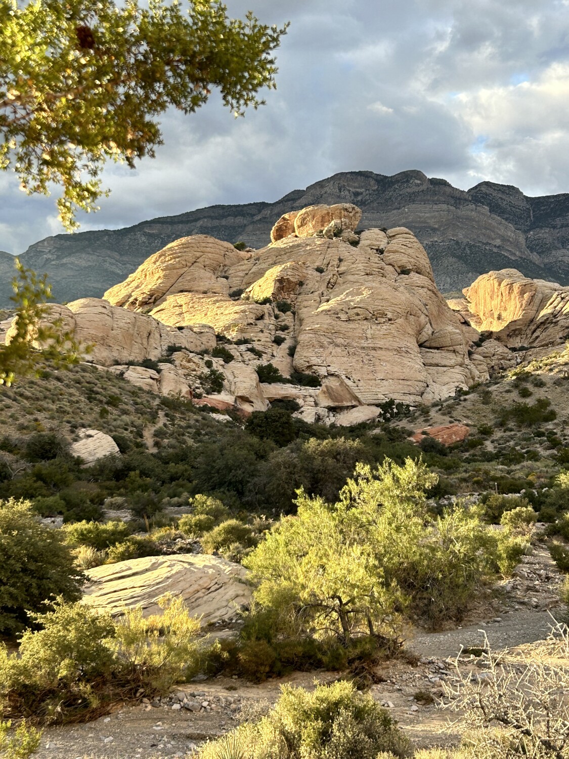 Red Rock Canyon Sunset 2023