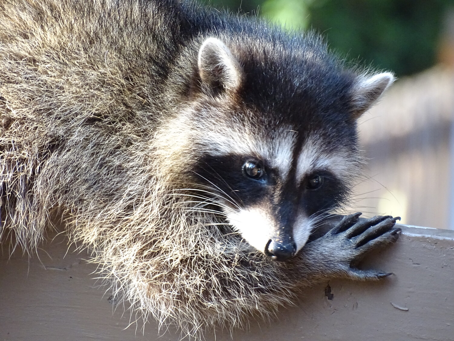 Posing for a Picture