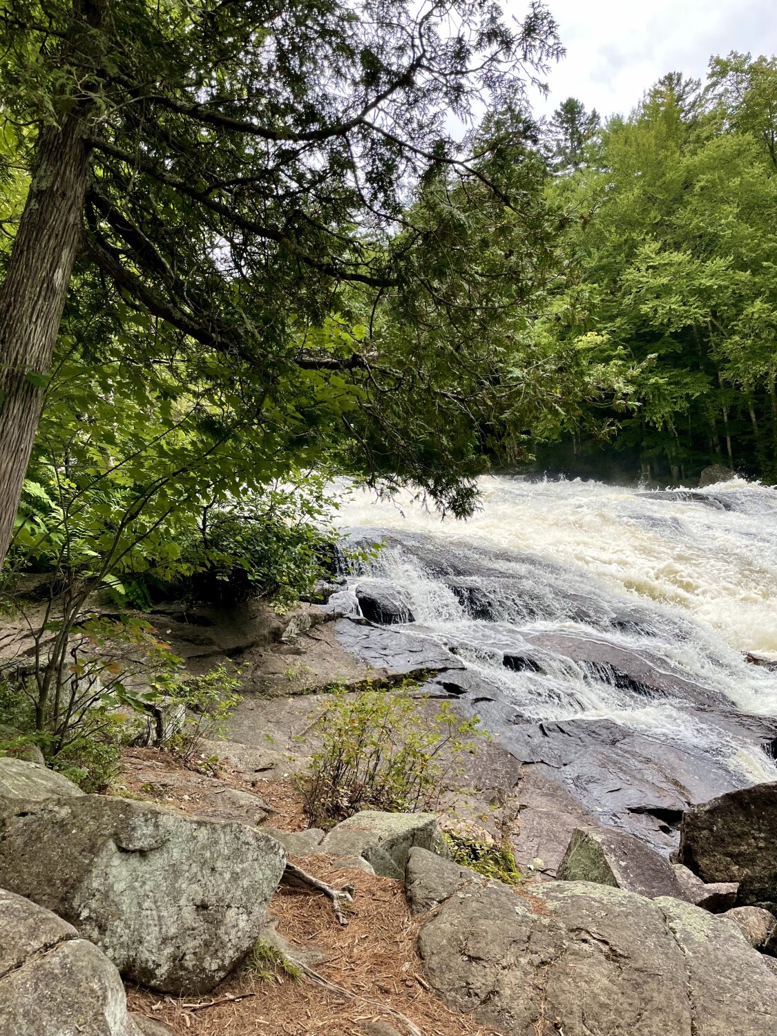 Buttermilk Falls
