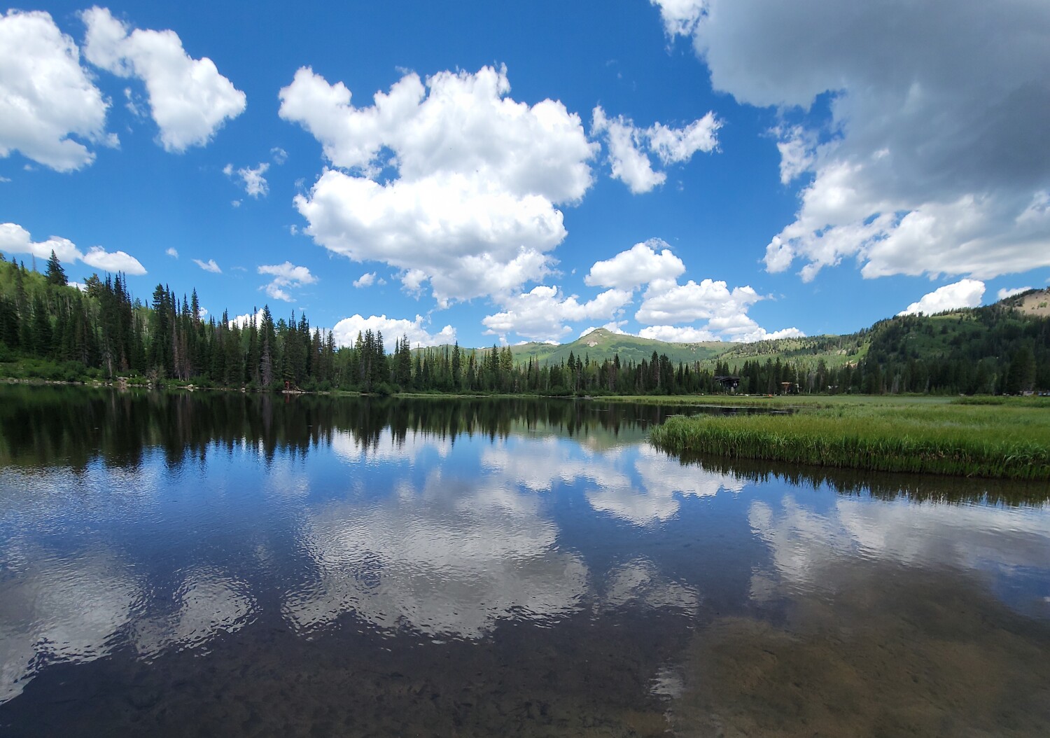 The Clouds in My Eyes