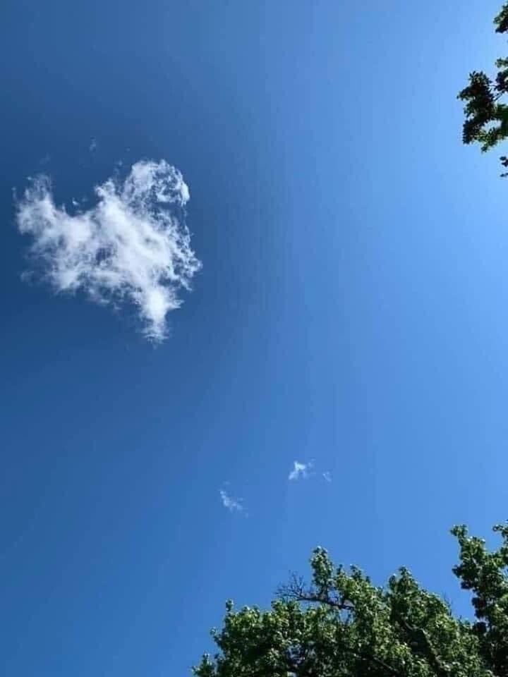 Angel’s Among Us!!