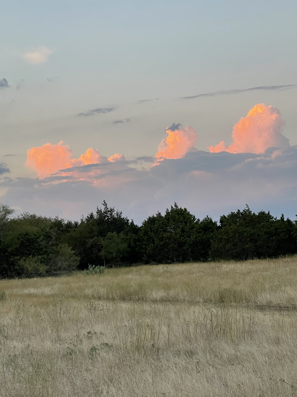 God’s beautiful workshop