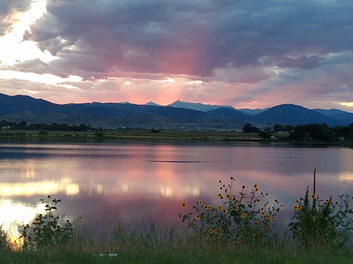 Colorado summer eve