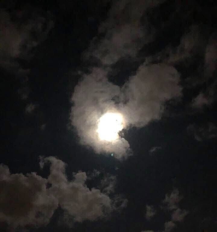 The heart of the night