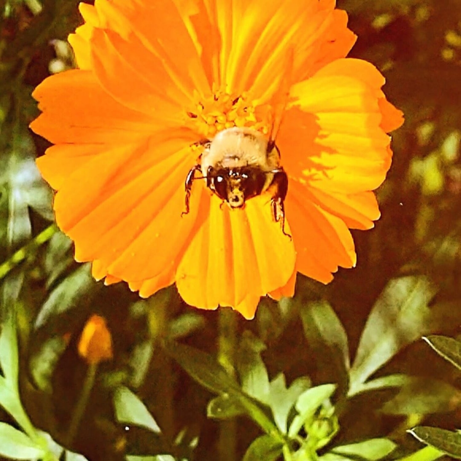 Posing for the camera