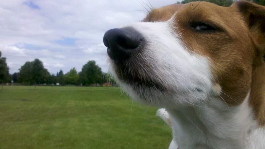 Are YOU Lookin' at ME!?