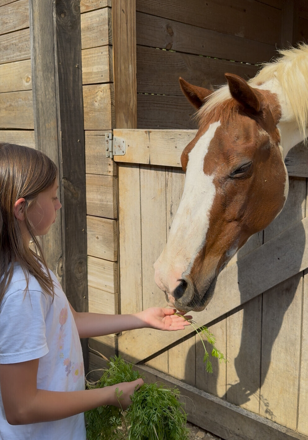 Helping Foster Kids Connect