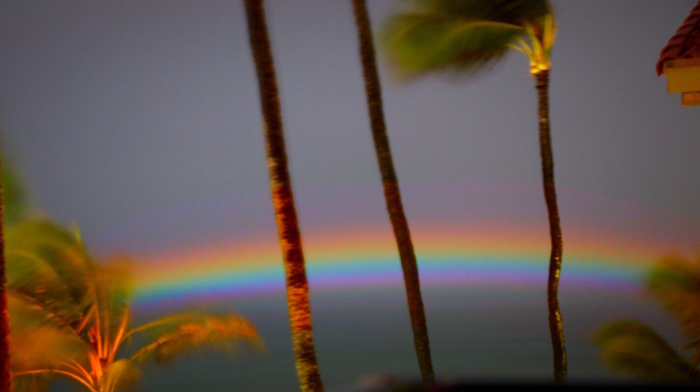 Maui Moon Bow