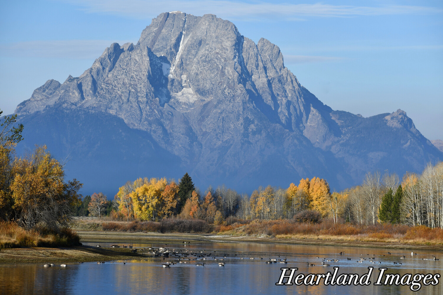My. Moran - Jackson WY