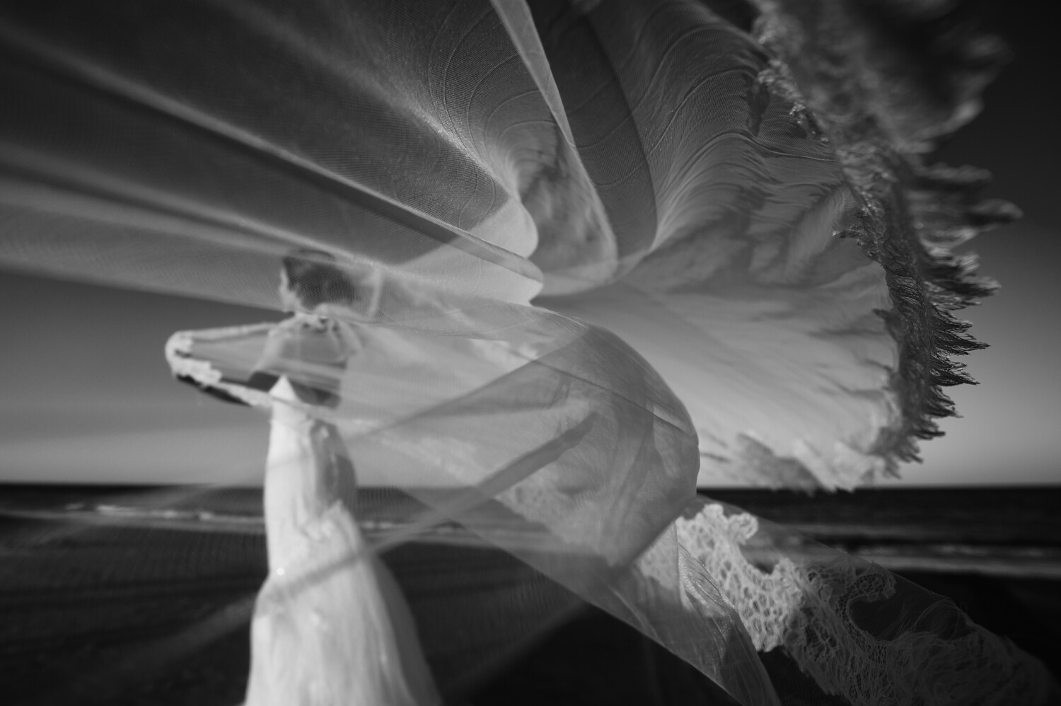 The bride's veil dancing on the Savannah sea.
