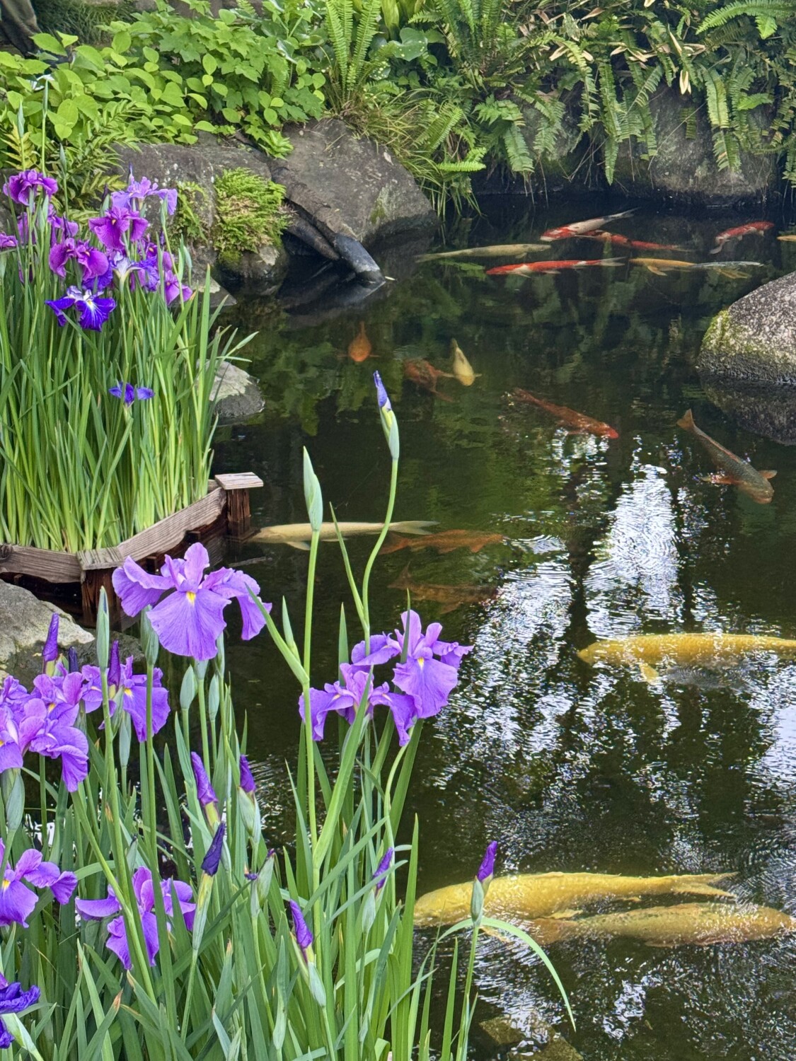 Kyoto Garden