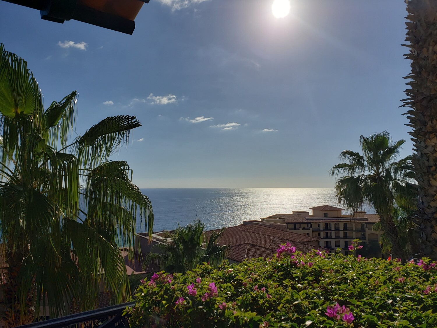 Paradise