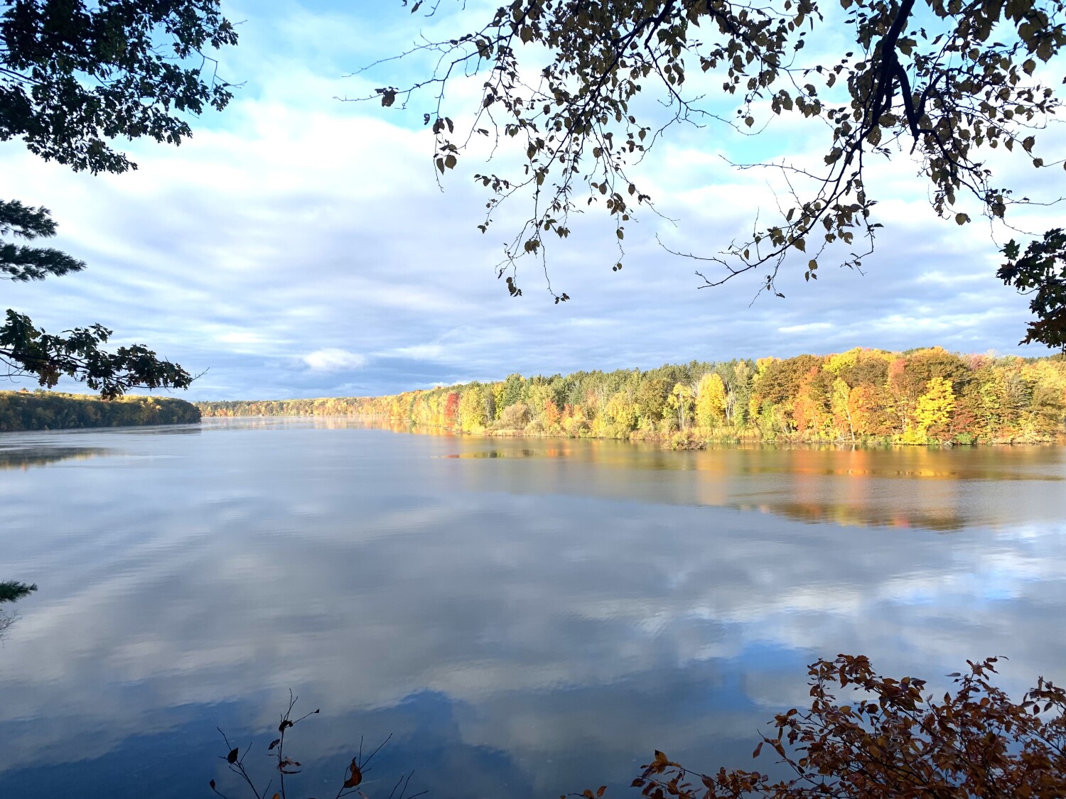 Canvas of Earth Colors