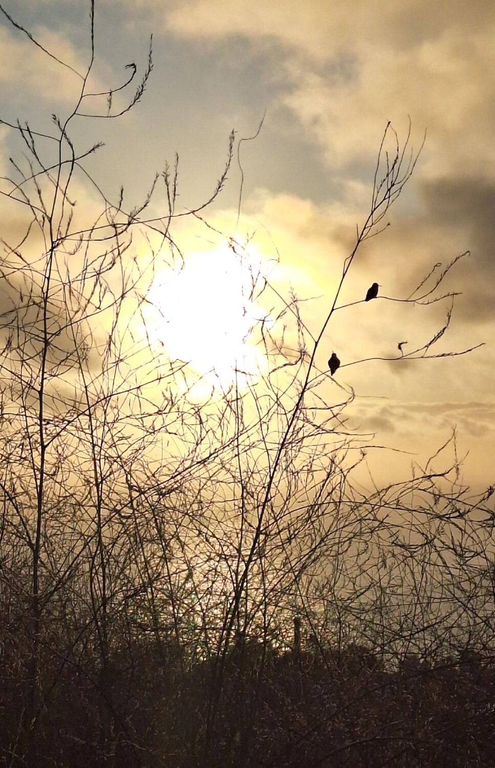 Autumn sunset by the sea