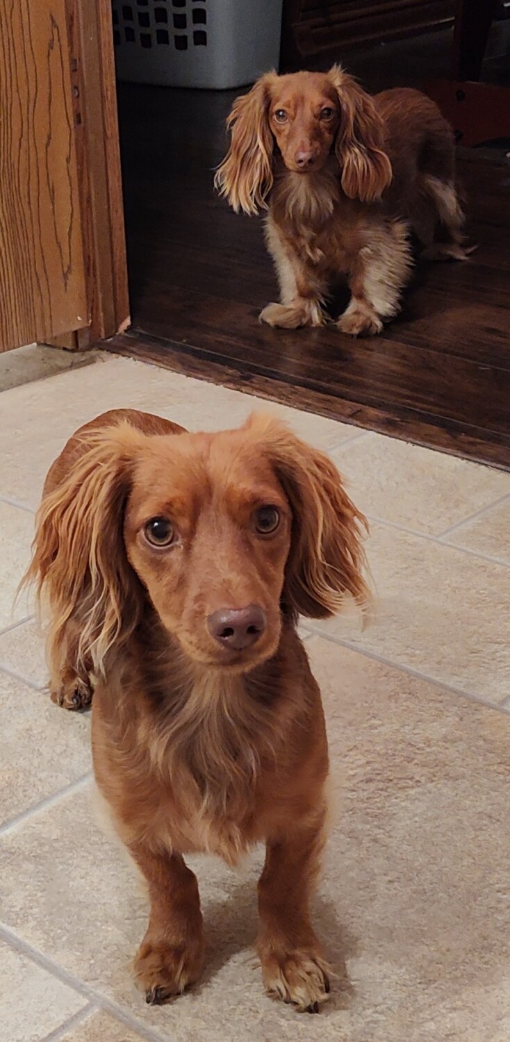 What you doing Mommy?