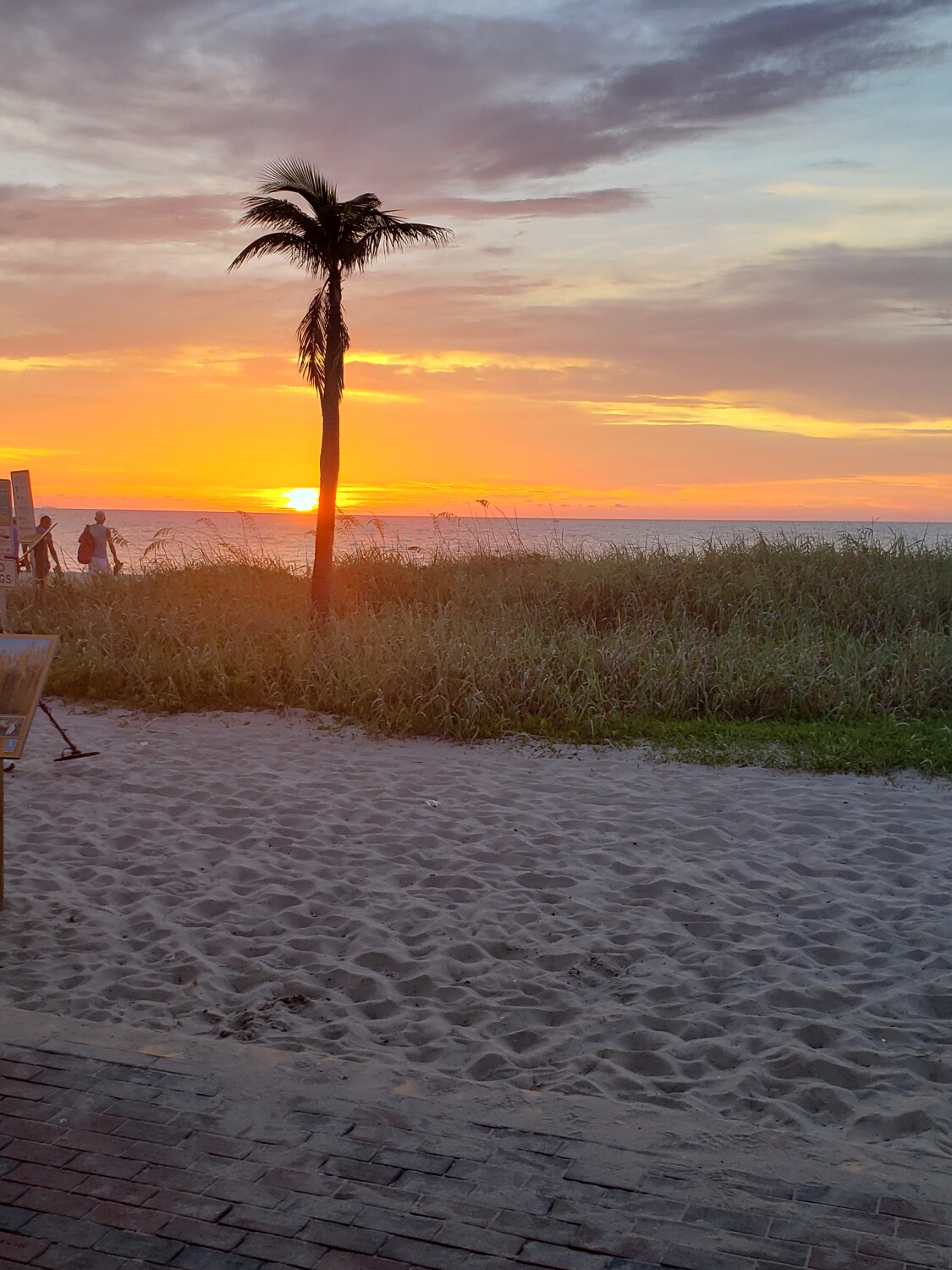 Lauderdale by the sea..