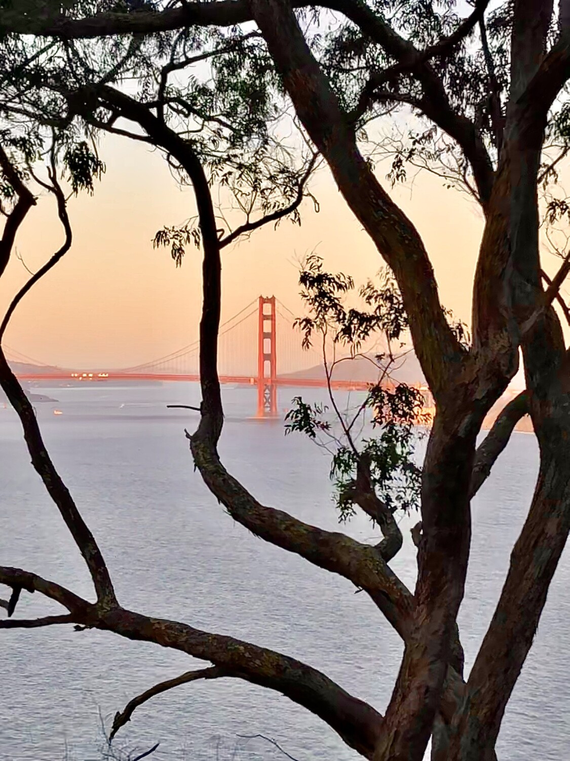 Beauty and beyond ♥️